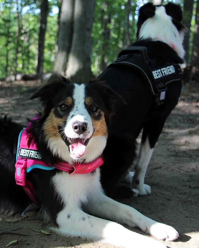 AUROTH Dog Harness and Leash Set, Soft Padded Dog Vest with 5.25FT Dog Leash, No Choke, Easy On Pet Vest, Adjustable Reflective No Pull Dog Harness for Large Dogs, Easy Walking and Training