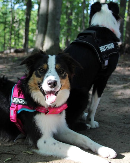 AUROTH Dog Harness and Leash Set, Soft Padded Dog Vest with 5.25FT Dog Leash, No Choke, Easy On Pet Vest, Adjustable Reflective No Pull Dog Harness for Large Dogs, Easy Walking and Training