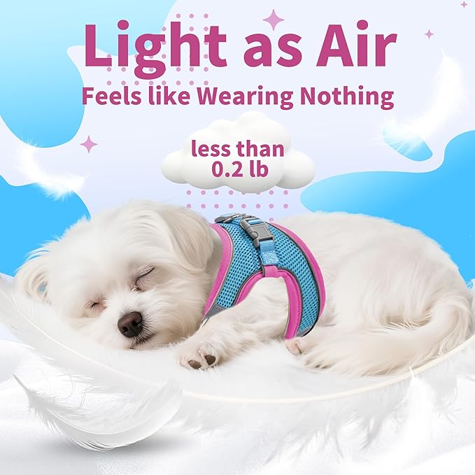 AIITLE Step in Dog Harness and Leash Set - No Pull Escape Proof Vest Harnesses with Soft Mesh and Reflective Bands, Adjustable Pet Outdoor Harnesses for Small and Medium Dogs Hot Pink M