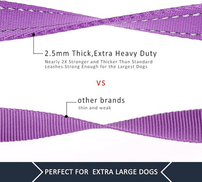 Plutus Pet Double Handle Dog Leash 5ft, Heavy Duty, Reflective Dual Handle Dog Leash for Safety Training, for Medium Large Dogs,2 Handle Leads(Purple)