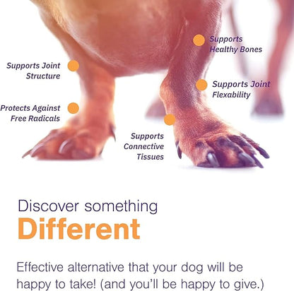 MOVOFLEX Soft Chews Hip and Joint Support Supplement for Large Dogs 60 Count by Virbac