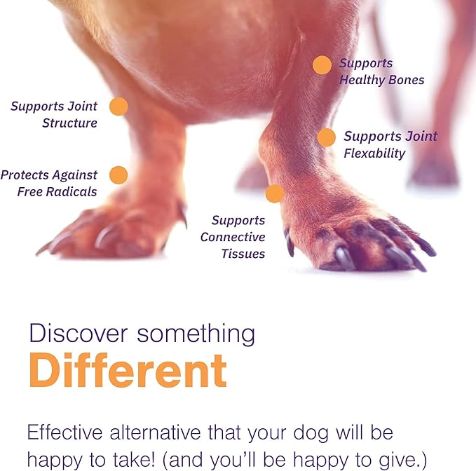 MOVOFLEX Soft Chews Hip and Joint Support Supplement for Dogs for Medium Dogs - 60 Count by Virbac