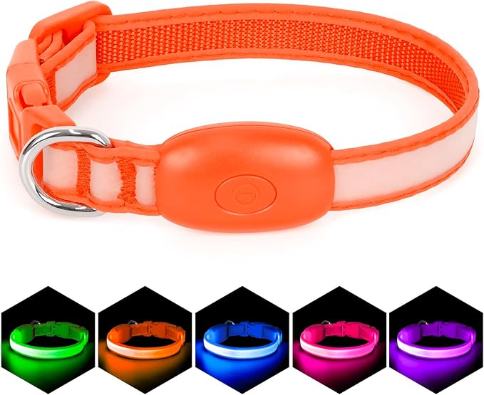 Light up Collar for Small Dog,Vizpet XS Adjustable Size Nylon Collar USB Rechargeable Bright Safety Pet Collar for Cats Small Dogs (Orange, X-Small[ 8.66-11.9 inch/22cm-30cm])