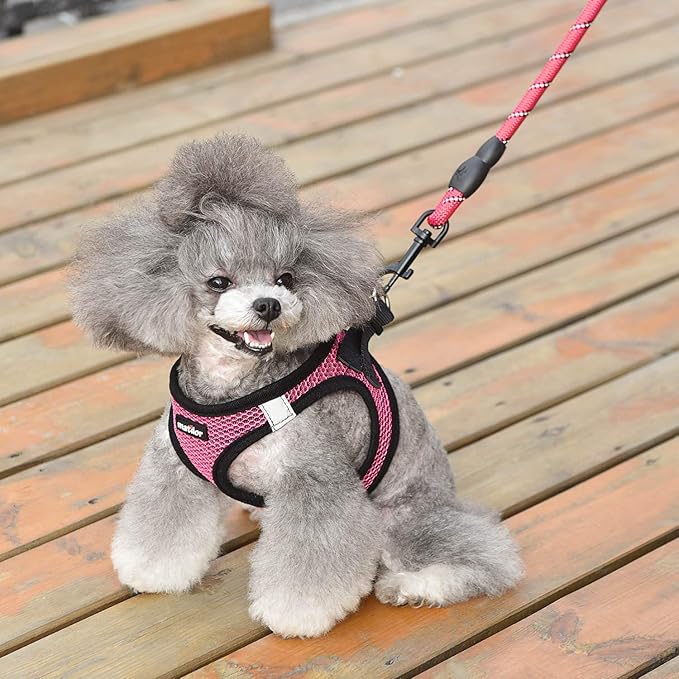 matilor Dog Harness Step-in Breathable Puppy Cat Dog Vest Harnesses for Small Medium Dogs