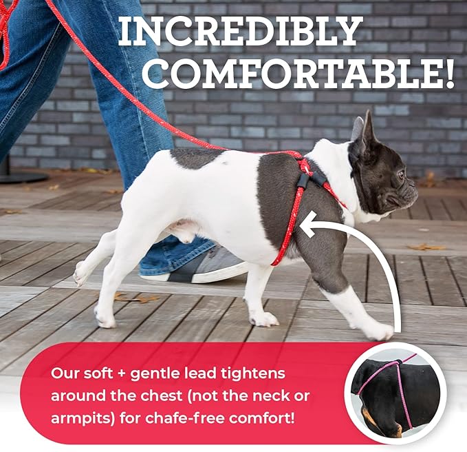 Harness Lead No Pull Dog Harness and Leash Set, Anti Pull Dog Harness for All Breeds and Sizes, One-Piece Cushioned Rope Design Safely Prevents Escaping and Pulling (Small/Medium, Black/Reflective)