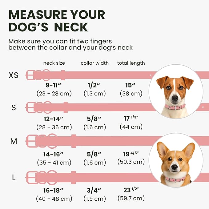 BRONZEDOG Rolled Leather Dog Collar for Small Medium Large Dogs with QR ID Tag (L: 16-18 Inch, Powder Pink)