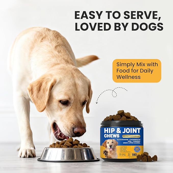 Furry Armor Dog Hip and Joint Supplement with Glucosamine & Chondroitin - Supports Mobility & Pain Relief for Senior & Large Dogs - 180 Soft Chews
