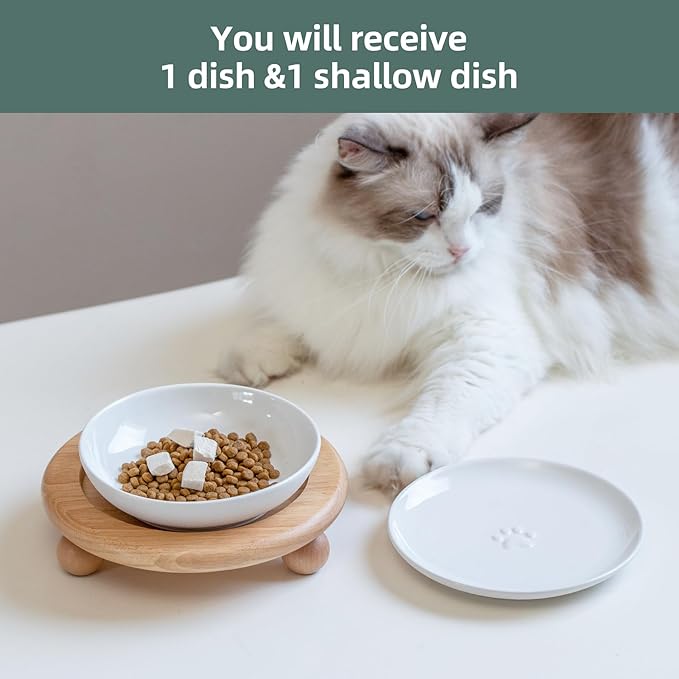 Havniva Raised Ceramic Wide Whisker Friendly Cat Dishes, Food&Water Bowl with 2 Style Stand Adjustable Pet Bowl Set(1Dish+1Shallow Dish+Stand, White
