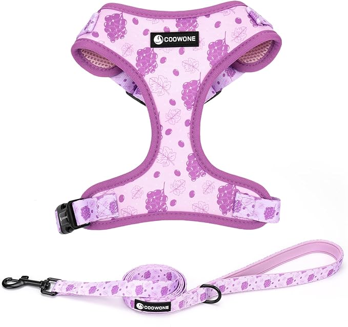 Dog Harness and Leash Set, Adjustable Dog Harness, Dog Leash, No Pull No Choke Puppy Harnesses for Walking Training for Small Medium Pet (Wines, S(Chest 13-19", Neck 9.5-13.1"))