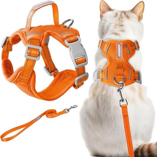 Cat Harness and Leash Set Escape Proof for Kitten Walking, Soft Adjustable Top Handle Vest Harnesses for Cats, Easy Control Breathable Reflective Small Medium Large, Orange, XXS