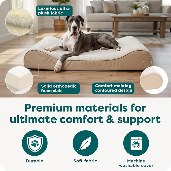 FurHaven Orthopedic Dog Bed for Large Dogs, Luxe Lounger Contour Mattress with Solid Orthopedic Foam Slab for Joint Support, Removable Washable Cover - Jumbo Plus XXL, Plush Suede, Cream