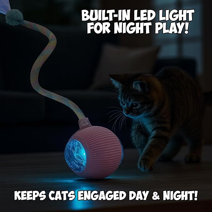 2-Pack Interactive Cat Ball Toys – Pink & Blue Combo – Automatic Rolling Balls with Long Tail & Feather, 3-Modes & USB Rechargeable for Indoor Cats