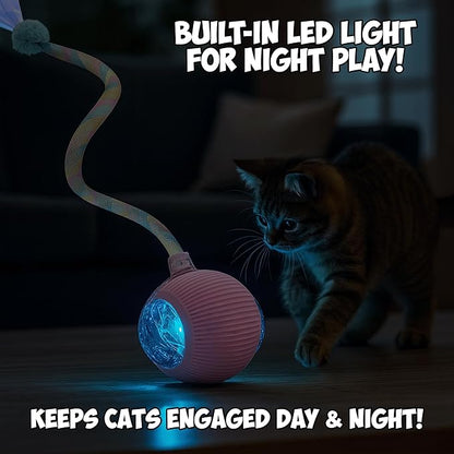 2-Pack Interactive Cat Ball Toys – Pink & Blue Combo – Automatic Rolling Balls with Long Tail & Feather, 3-Modes & USB Rechargeable for Indoor Cats