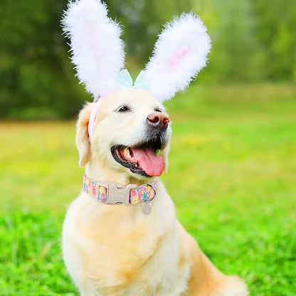 DOGWONG Easter Dog Collar,Cute Bunny Eggs Dog Collar Pink Babbit Pet Collar Girl Dog Collar Puppy Adjustable Soft Dog Collars for Small Dogs