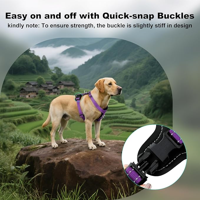 Plutus Pet Adjustable No Pull Dog Harness with Leather Accents, Heavy Duty Reflective Nylon Vest for Training, Hiking, Easy Walk Harness for Small, Medium, Large Dogs (Purple, XL)