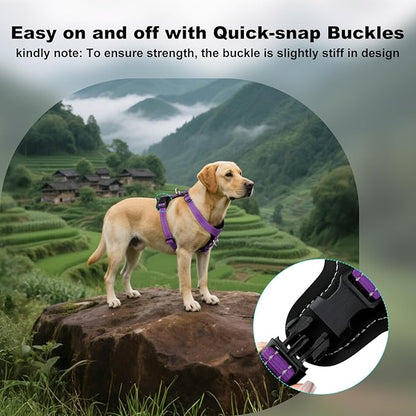 Plutus Pet Adjustable No Pull Dog Harness with Leather Accents, Heavy Duty Reflective Nylon Vest for Training, Hiking, Easy Walk Harness for Small, Medium, Large Dogs (Purple, M)