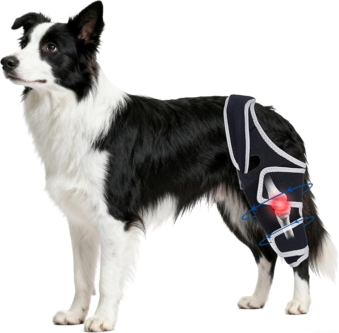 Dog Knee Brace for Torn Acl Hind Leg,Adjustable Four-Legged Universal Dog Knee Brace with Metal Support Strip,Keeps Joints Stable&Relieve Joint Pain and Ligament Damage,Size L.