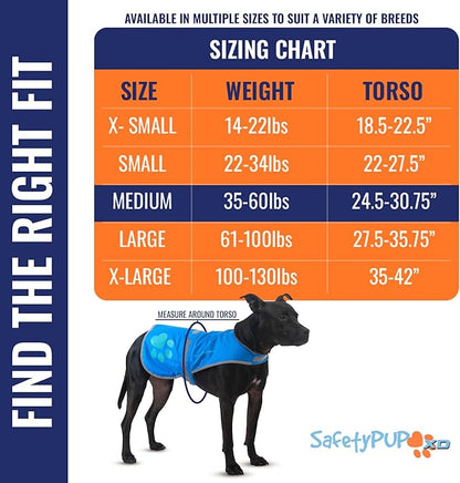 SafetyPUP XD Dog Reflective Vest – Hi-Vis Fluorescent Visibility That Helps to Safeguard Your Pet On/Off Leash in Urban & Rural Areas (Blue, Medium)