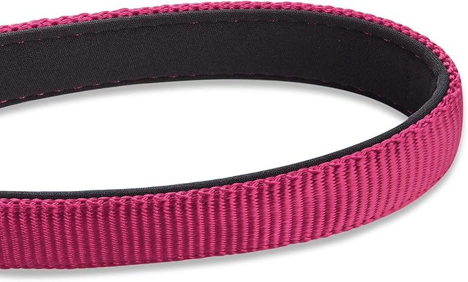 Hyhug Pets 24” Nylon Sturdy Short Leash with Neoprene Soft Handle and Lightweight Aviation Aluminium Clip Lead- for Large Medium Dogs Daily Walking and Training. (24 Inches, Rose Red)