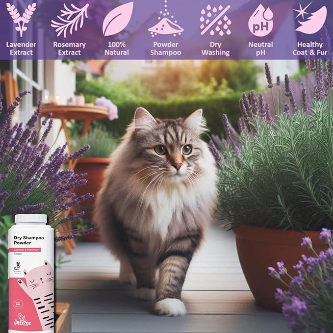 Jatisse Cat Dry Shampoo Powder with Lavender and Rosemary for Cats 5.29 fl. oz| Grooming for Cat | Kitten Sensitive Skin | Cleansing and Moisturizing Perfume and Talc Free (1)
