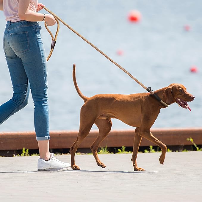 TwoEar 6FT Slip Lead Dog Leash, Heavy Duty Slip Leash for Dogs with Highly Reflective, Strong Rope Slip Leads No Pull Pet Training Leashes for Small Dogs (3/8", Orange)