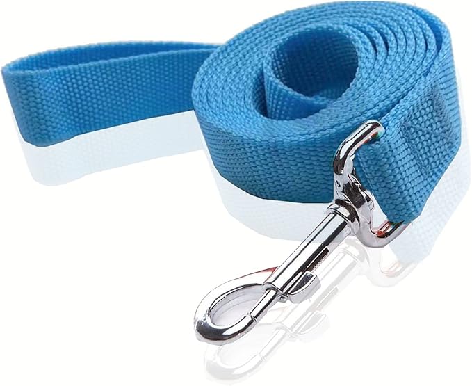Nylon Dog Leash 8 Feet Long, Walking Training Dog Leashes for Medium Large Dogs(1" X 8 ft, Blue)