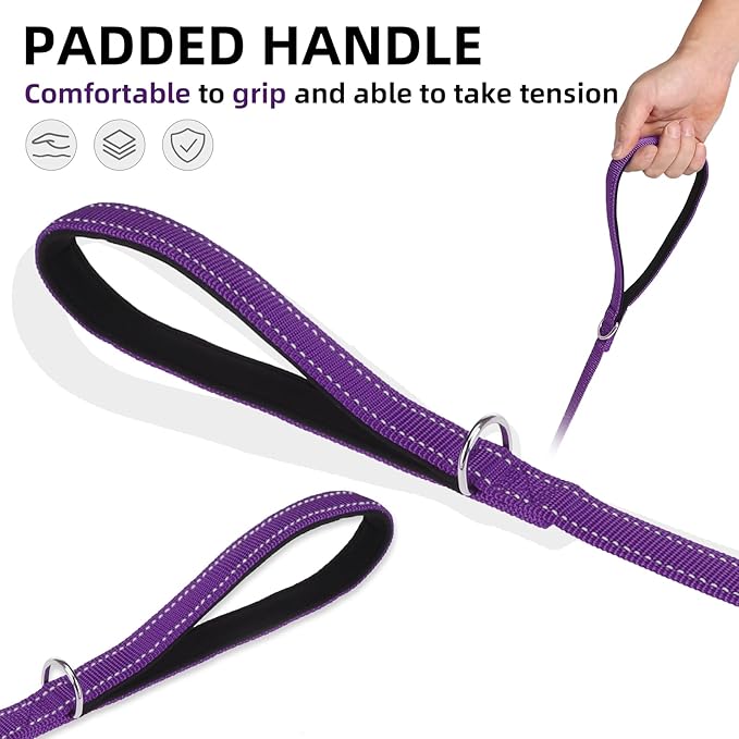 PUPTECK Reflective Dog Leash with Comfortable Padded Handle Durable Nylon Dog Lead for Small Medium and Large Dogs Cats Walking Running Training Outside, Purple