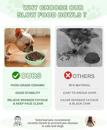 TRUVIC Ceramic Slow Feeder Dog Bowls Small Breed, 0.6 Cup Slow Feeder Cat Bowls for Fast Eaters, Ceramic Dog Food Dish no Black Chin, Puzzle Bowl for Small Dogs and Cats, Green