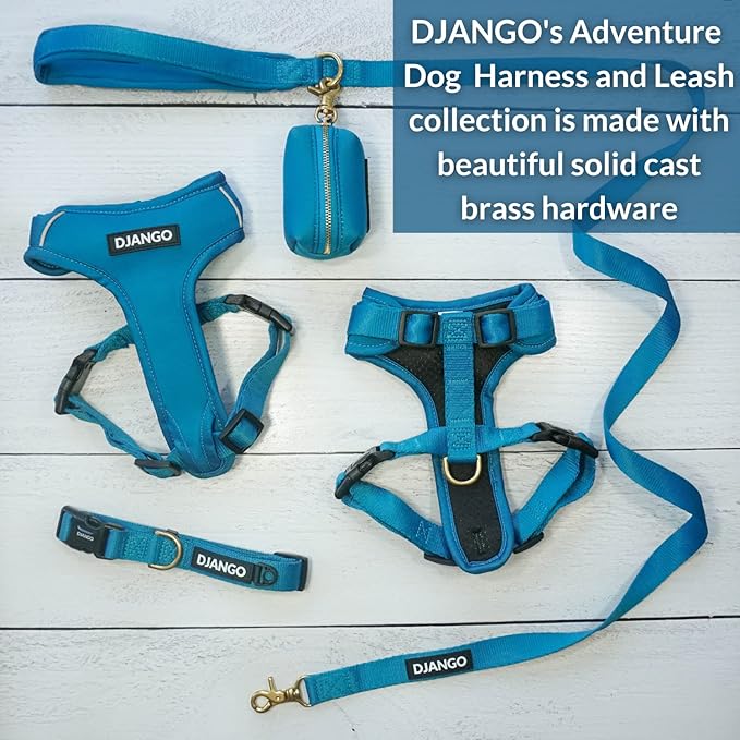 DJANGO Adventure Dog Leash – Strong, Comfortable, and Stylish Dog Leash with Solid Brass Hardware and Padded Handle - Designed for Outdoor Adventures and Everyday Use (Pacific Blue)