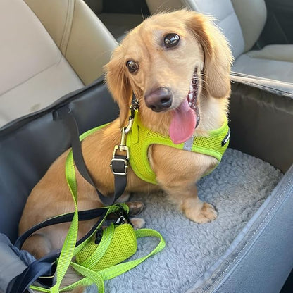 Best Pet Supplies Voyager Step-in Air Harness - All Weather Mesh, Reflective, No Pull Harness for Dogs, Cats - Secure with Hook & Loop Fastener, Buckle, Double D-Rings - Lime Green, XXS