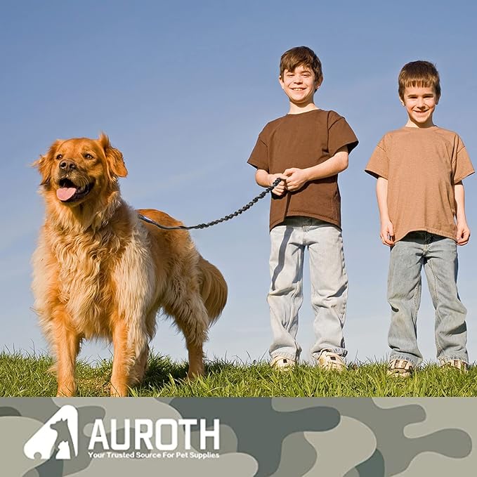 AUROTH Heavy Duty Bungee Dog Leash for Shock Absorption - 6FT Black Training Leash with 2 Padded Handles for Medium Large Breed Dogs