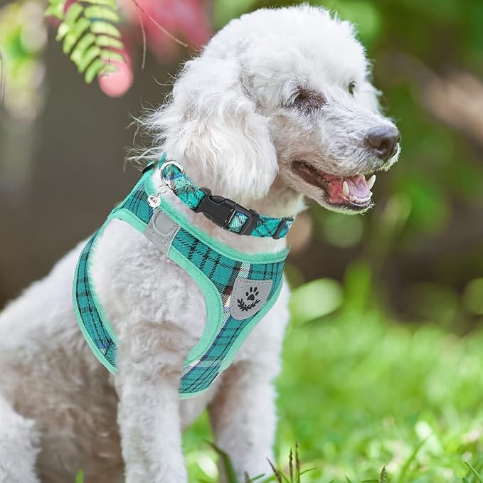 PUPTECK Adjustable Dog Harness Collar and Leash Set Step in No Pull Pet Harness for Small Medium Dogs Puppy and Cats Outdoor Walking Running, Soft Mesh Padded Reflective Vest Harnesses, Lake Green XS