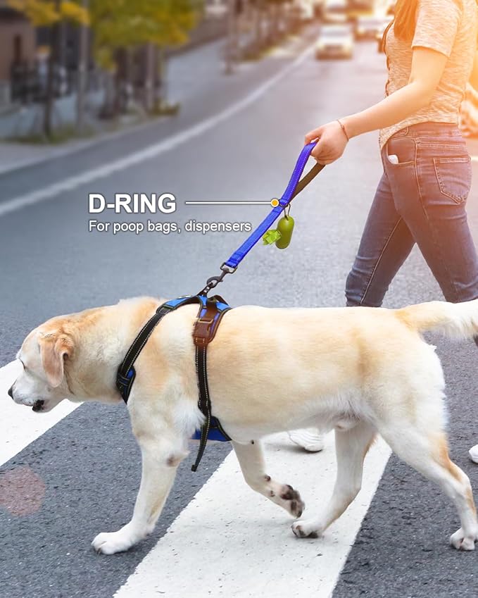 Joytale Strong Short Dog Leash 2FT, 1.2 Inch Wide, Heavy Duty, Padded Handle for Traffic Control, Reflective Leash for Medium and Large Dogs Walking Training, Royal Blue