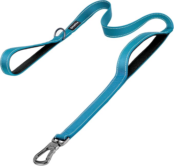 PetiFine 6FT Heavy Duty Dog Leash with Soft Padded Double Handle, Durable Strong Clasp Dog Leashes, Reflective Nylon Walking Lead for Large,Medium,Small Breed Dogs, Blue