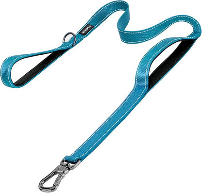 PetiFine 6FT Heavy Duty Dog Leash with Soft Padded Double Handle, Durable Strong Clasp Dog Leashes, Reflective Nylon Walking Lead for Large,Medium,Small Breed Dogs, Blue