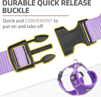 PUPTECK Small Dog Harness and Leash Set, No Pull Adjustable Puppy Cat Harness, Reflective Soft Mesh Pet Vest Small Sized, Purple, L
