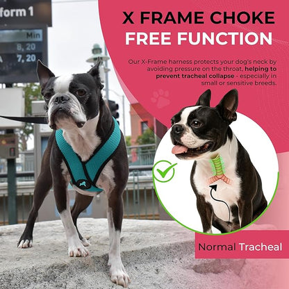 Gooby Comfort X Head-in Harness – Medium Dog Harness (9–15 lbs), Turquoise, No Pull, Choke-Free Design