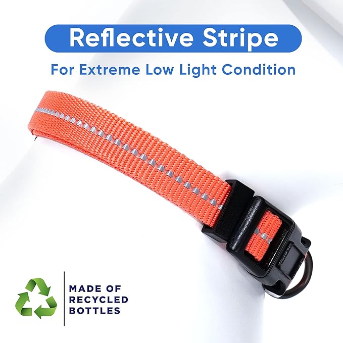 Pawtitas Recycled Dog Collar with Reflective Stitched Puppy Collar Made from Plastic Bottles Collected from Oceans Extra Small Living Coral