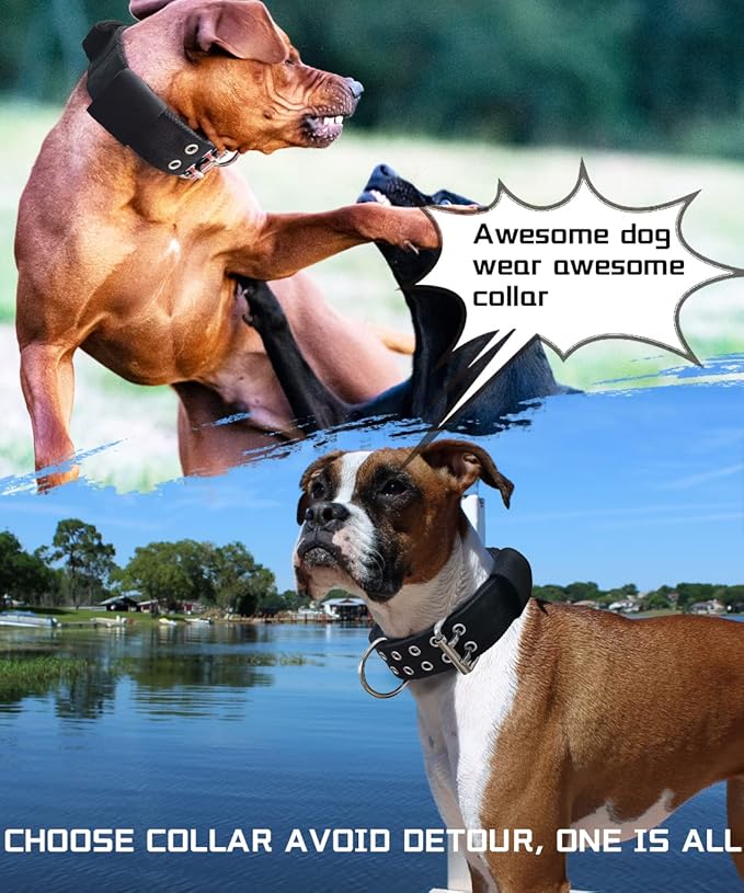 Large Dog Collar - Black Heavy Duty Collars for Gaint Breed Dogs, 2 inch Wide with Handle Strong Nylon and Stainless Hardware Tactical Collar, Good Choice for Large Dogs 13.5-19 in