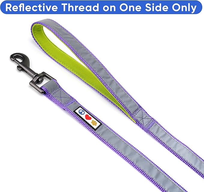 Pawtitas 6 FT Padded Dog Leash with Comfortable Neoprene Padding Handle - Purple Lead | Small Reflective Dog Leash with Highly Reflective Band Perfect for Extra Small and Small Dogs and Puppies.