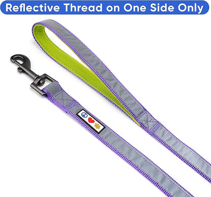 Pawtitas 6 FT Padded Dog Leash with Comfortable Neoprene Padding Handle - Purple Lead | Small Reflective Dog Leash with Highly Reflective Band Perfect for Extra Small and Small Dogs and Puppies.