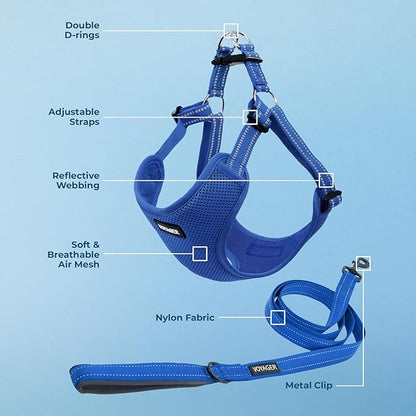 Best Pet Supplies Voyager Adjustable Step-in Flex Breathable Mesh Dog Harness for Small Medium Large Dogs Leash Set (Royal Blue), XL