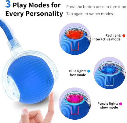 MAXTOOA Interactive Cat Toys for Indoor Cats Smart Automatic Ball Rolling for Bored Kitten Pet Upgraded Speedy Moving Chase Dogs Toy Blue