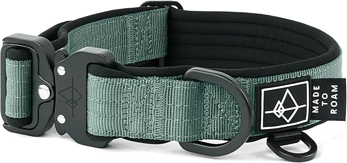 MADE TO ROAM Comfort Collar - Adjustable Nylon Dog Collar with Soft Comfortable Padding, Light Aviation Aluminum Metal Buckle for Small, Medium and Large Dogs (Florida Seaside, Size 3)