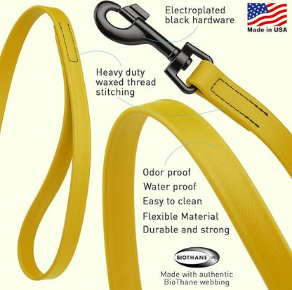 Dogline Biothane Waterproof Dog Leash Strong Coated Nylon Webbing with Black Hardware Odor-Proof Easy to Clean High Performance for Small or Large Dogs Made in USA 4 or 6 ft Lead, Treasure Gold
