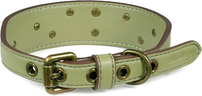 Blueberry Pet Premium Embossed Sage Green Glam Silver-Powered Freshness Microfiber Leather Dog Collar with Antique Brass Studs