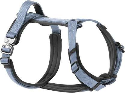 PawsPassion Dog Harness for Medium Dogs, No Pull Dog Harness Easy Walk with Metal Hardware, Ergonomic Y-Shaped Design, Soft Padding, Padded Handle, Durable High-Tensile Nylon (Horizon, M)