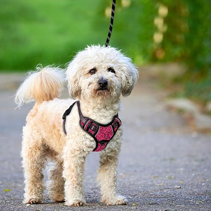 BARKBAY No Pull Dog Harness Large Reflective Dog Harness with Front Clip and Easy Control Handle for Walking Training Running with ID tag Pocket(Pink/Black,XS)