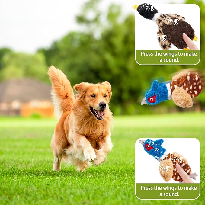 Calibonbon 2-Pack Stuffing-Free Squeaky Dog Toys – Pheasant & Duck Plush (4 Squeakers Each) | Durable Hollow Body for Medium Dogs | No Stuffing, Safe & Mess-Free