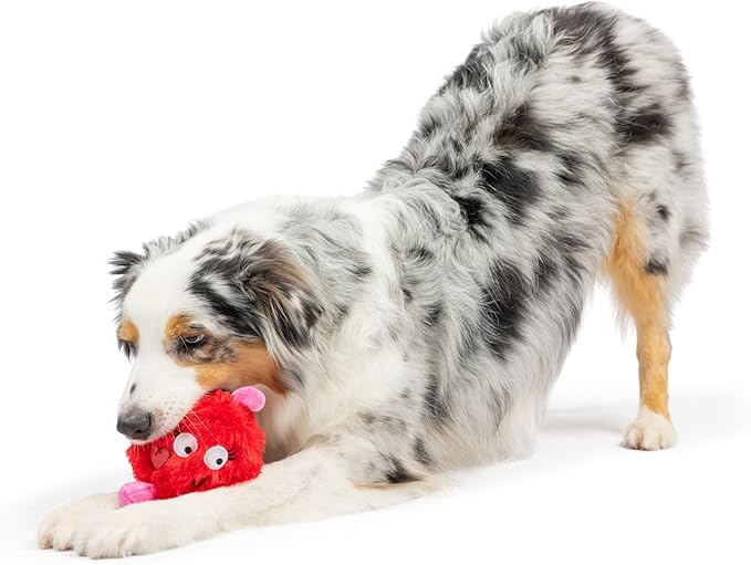 Huxley & Kent Plush Dog Toy w/Squeaker - Power Plush Stuffed Toy for Dogs - Cute, Funny & Tough Toy for Small & Large Dogs - Fur Bug, One Size